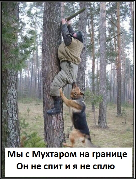 Анекдоты