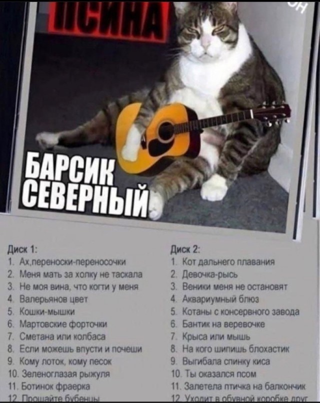 18 музыкантов из прошлого, которые выглядели так лихо, что нет сомнений в том, что раньше было куда веселее