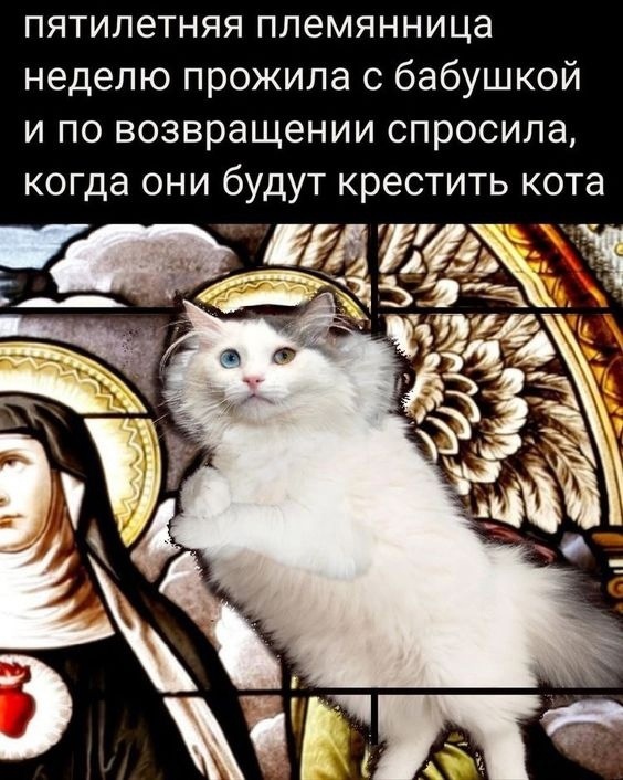 Так себе картинки 27.04.23