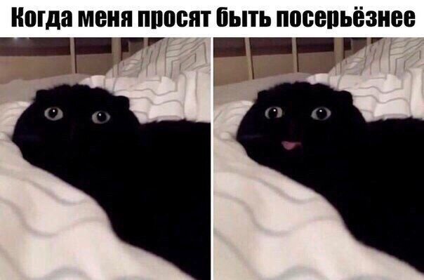 Картинки и мемы, это май-чародей всяко разно - 177