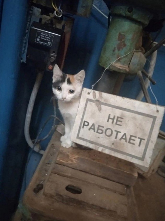 Нуштош 17.07.2023