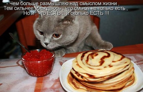 Еда - праздник, который всегда с тобой!