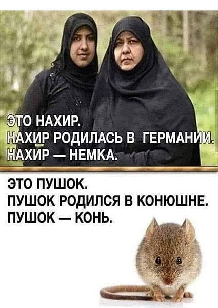 Юморески на вечер