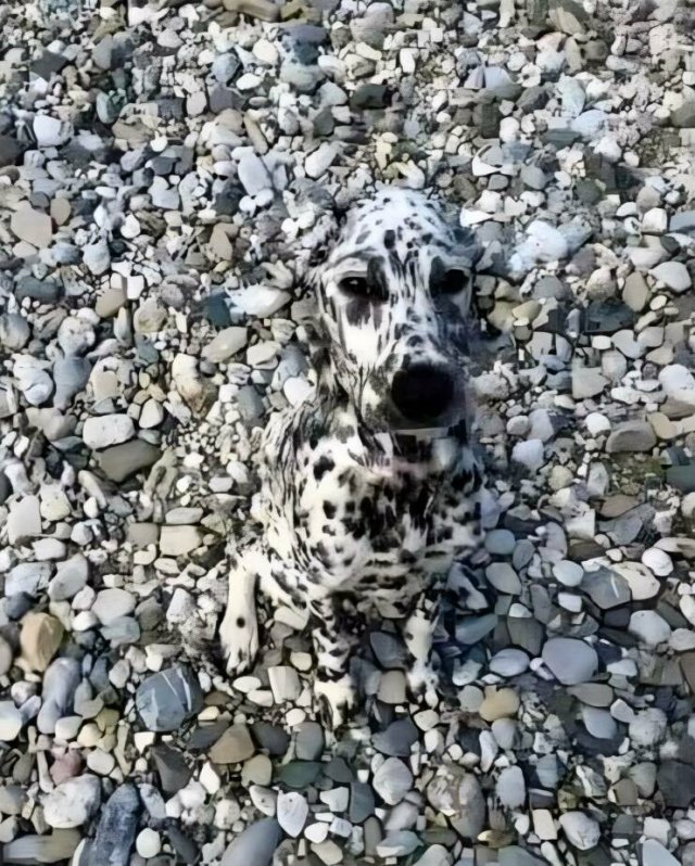 Тлидцать тли от 8 февраля