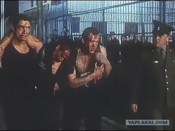 Битва века в Тайланде!