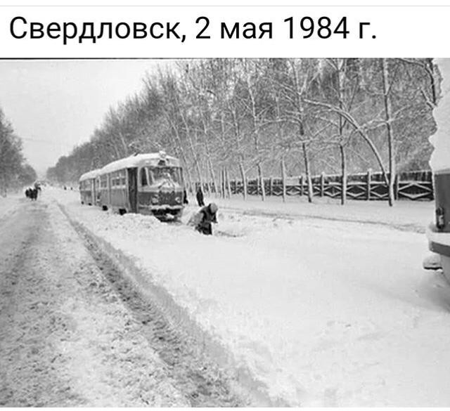 Это май баловник, это май чародей...