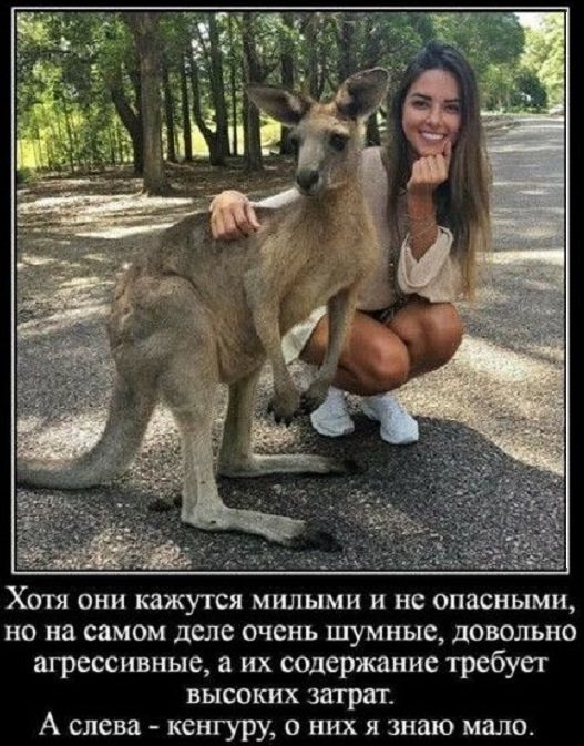 Картинки разные с надписями и без