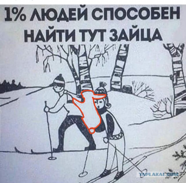 Завалялось тут случайно немного забавных картинок