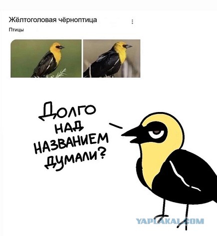 Моя любимая теория заговора