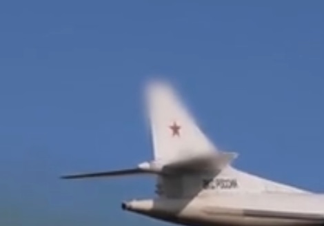 Красивые птички