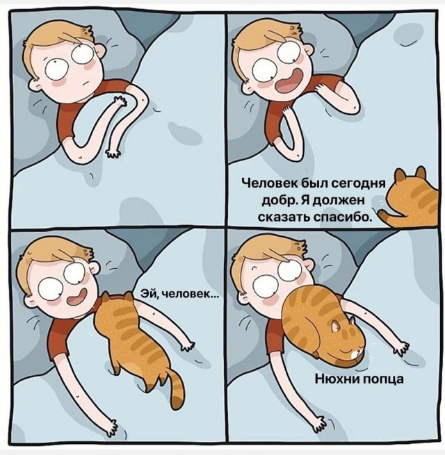 К котовторнику: подборка картинок-баянов с котиками и про котиков. Выпуск 23.