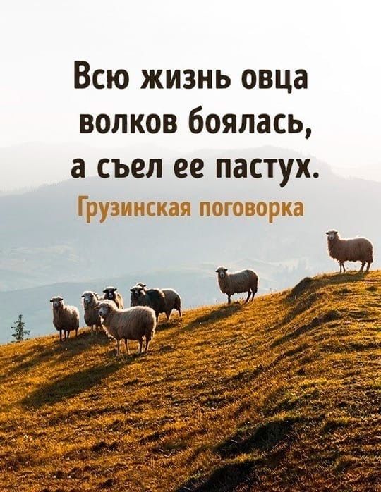 Пастух овец на расслабоне