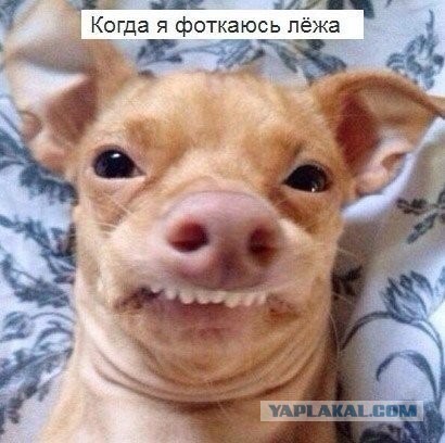 Сундук деграданта! Выпуск номер 13