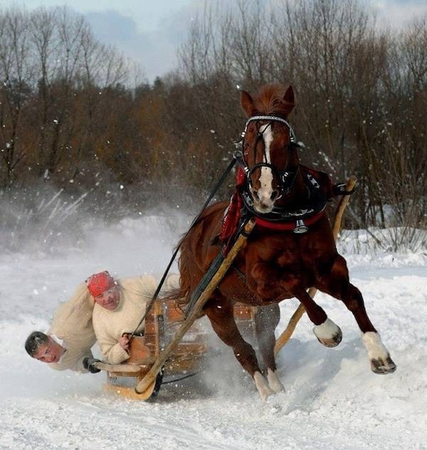 Подборка фотографий из серии " За секунду до.."