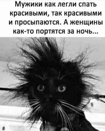 Картиночки, баянчики 20 января