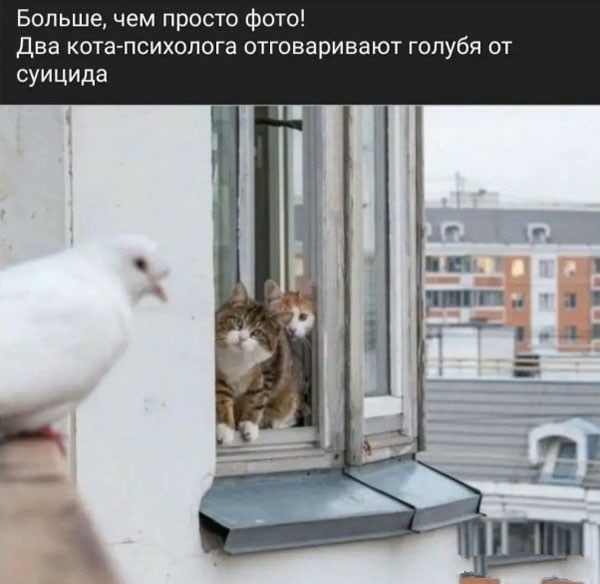 Картинки для деградации 128 (разной степени свежести)