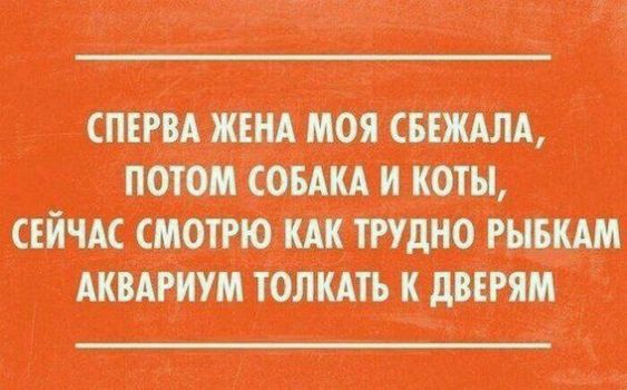 Картинки для деградации 145 (разной степени свежести)