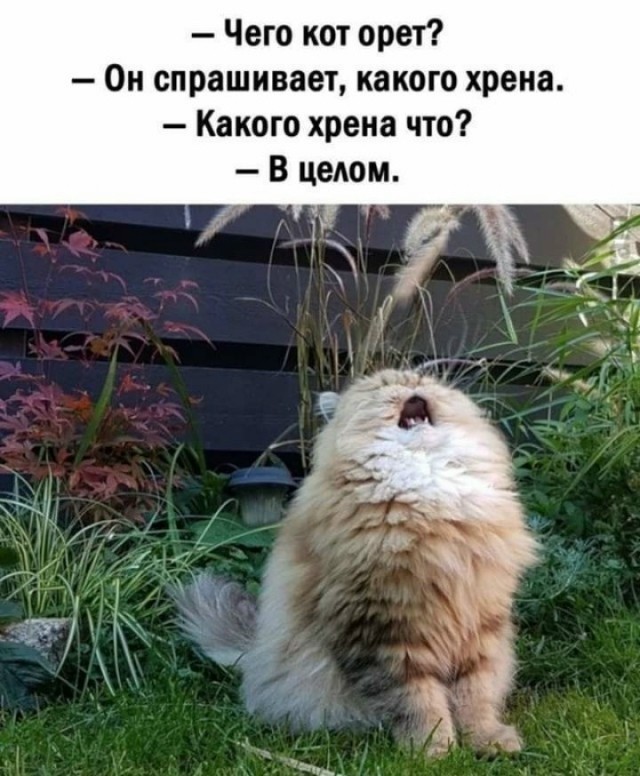 Как дальше жить.?