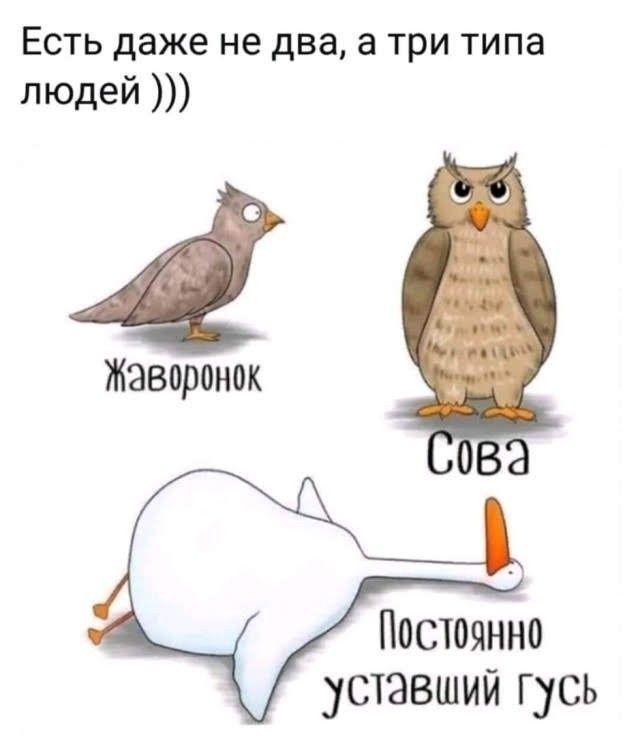 Картинки