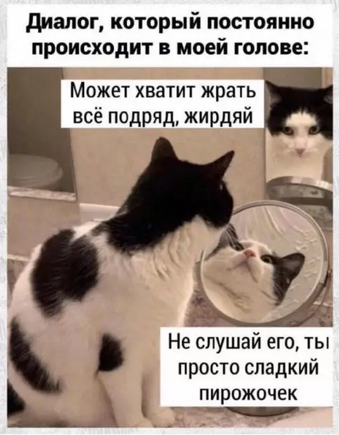 Картиночки, баянчики 10 июня