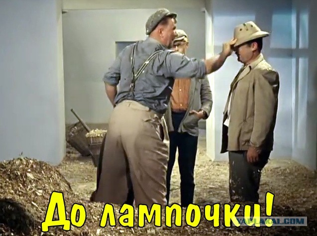 Омерика окончательно загнивает