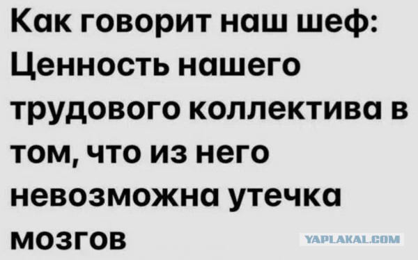 Картинки для деградации 306 (разной степени свежести)