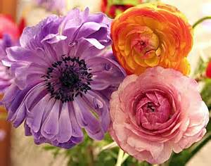 Визуализируем свои ники!