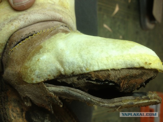 Ремонтируем обувь сами...