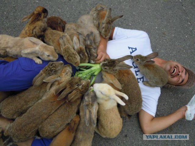 Слабонервным и девушкам не смотреть!
