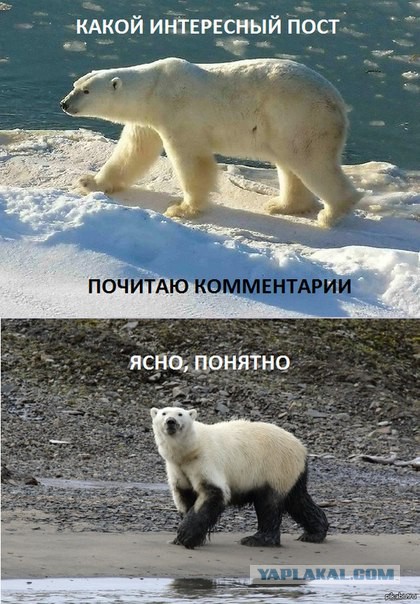 Маша и Медведь
