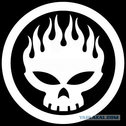 Для поклонников The Offspring.