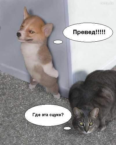 За секунду "до"