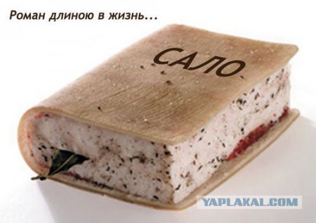 Американцы пробуют русскую еду