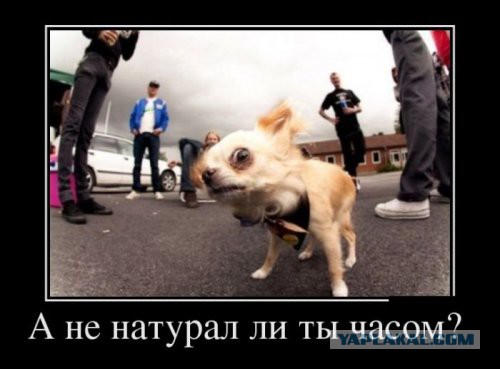 Я гомофоб.