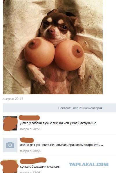 Ужасы и приколы из соцсетей 18+