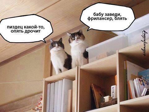 Плюшкиным посвящается