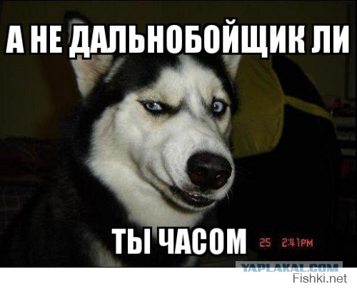 Сначала был "Платон"...