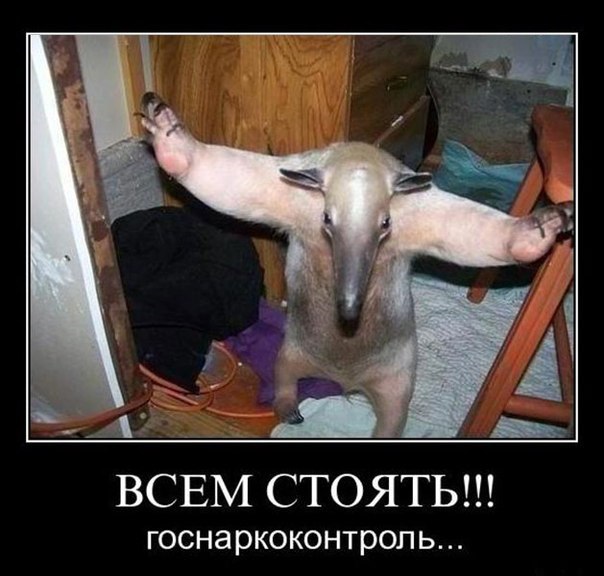 Подборка Картинок из сети