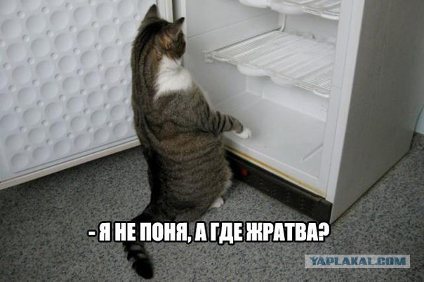 Очередная подборка картинок из сети