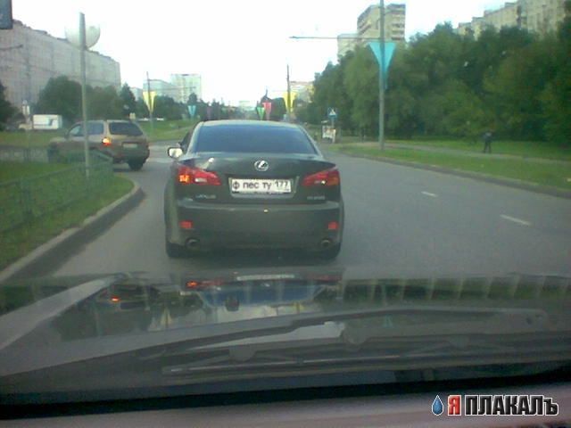 Автомобильные номера