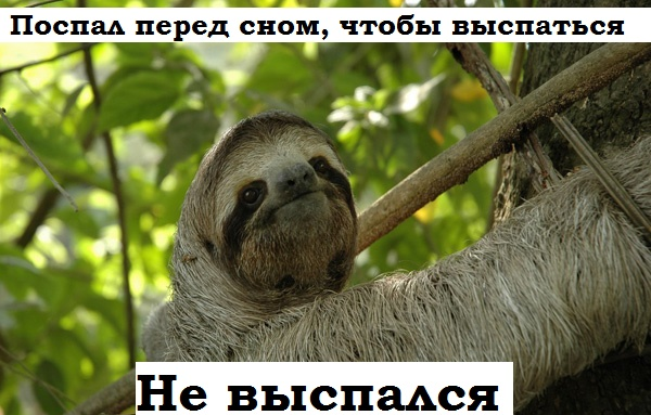 Что-то меня в сон клонит, - пойду посплю
