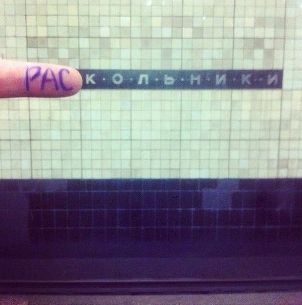 Подборка интересных и веселых фото