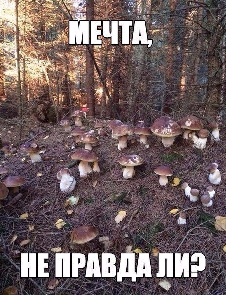 Подборка "баянов" со всего интернета