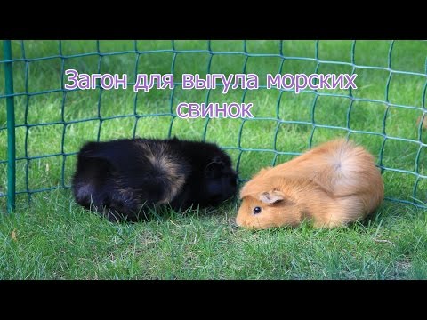 Немецкие ящики для любви