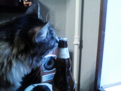 Сижу тут с мужиками