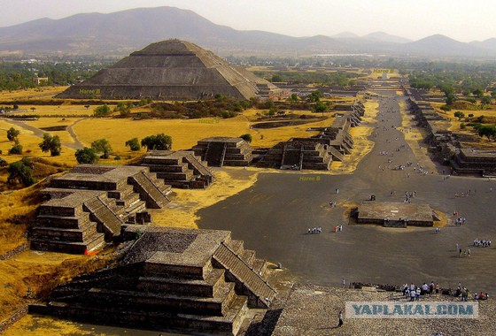 Пора вари... валить бетон! "Альты", шах и мат!