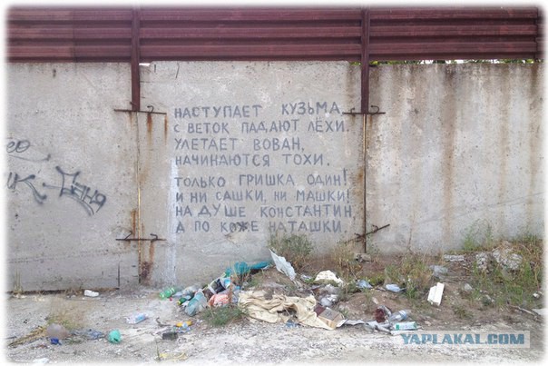Да они же обдолбанные все!