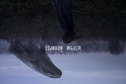 В Караганде девушка покончила с собой, предположительно, из-за «Синего кита»