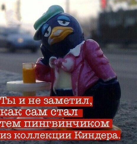 Алкогольный юмор 18+