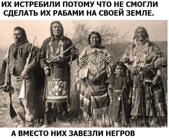 Обожателям омерички в разных сферах посвящается